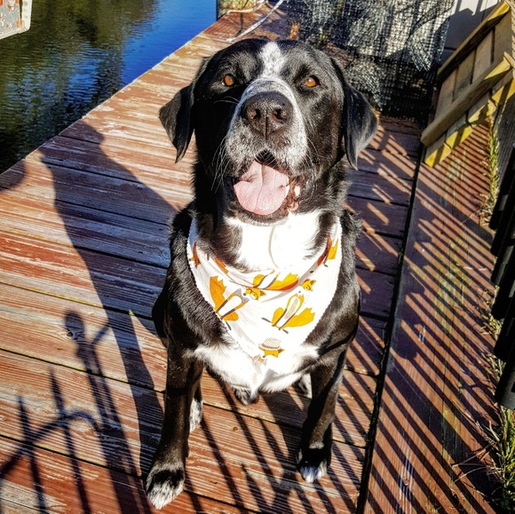  m e e t  m e  p a r t  2  - Picture 5 of 8